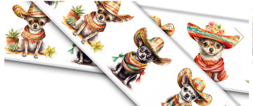 Cinco de Mayo