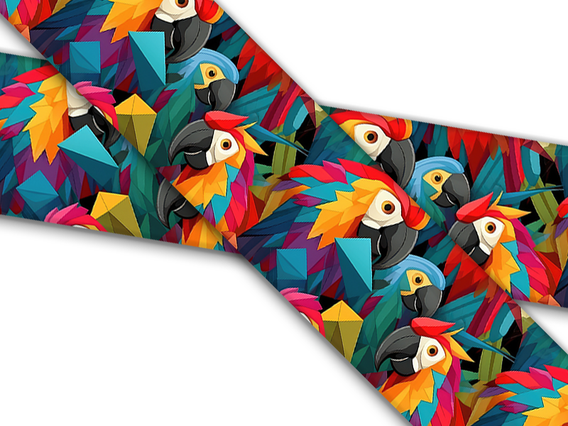 Birds and Their Feathers