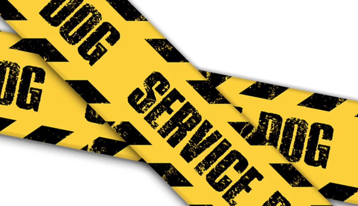 Service Dog and Warnings