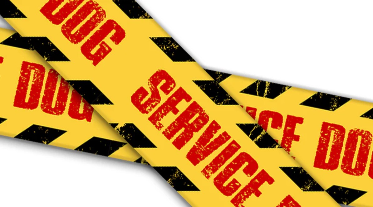 Service Dog and Warnings