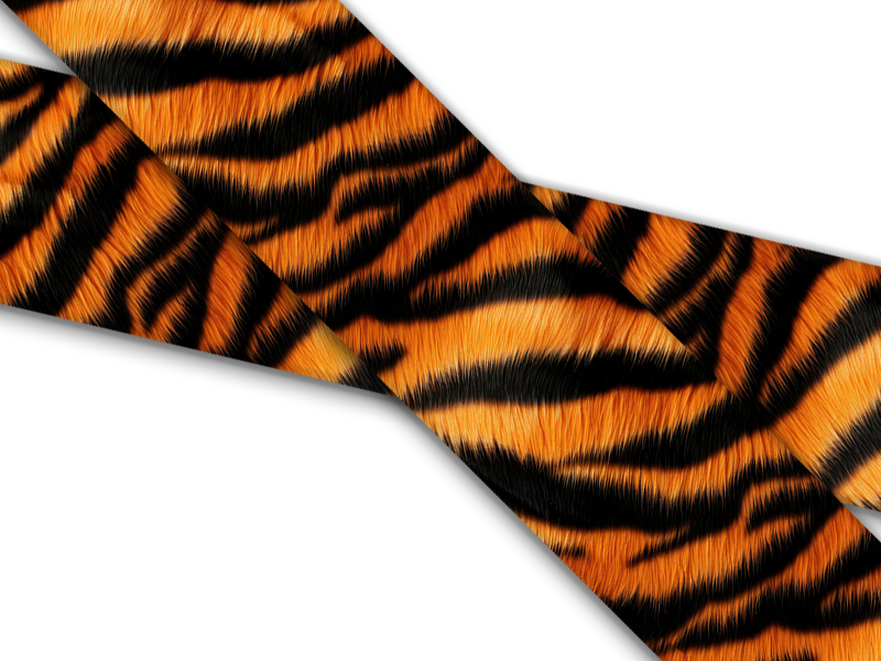 Animal Prints