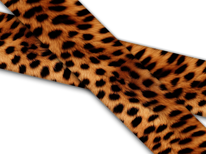 Animal Prints