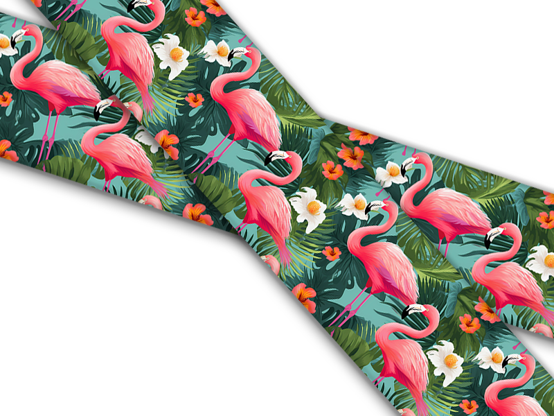 Birds and Their Feathers