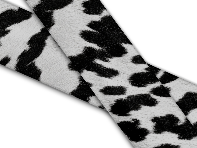 Animal Prints