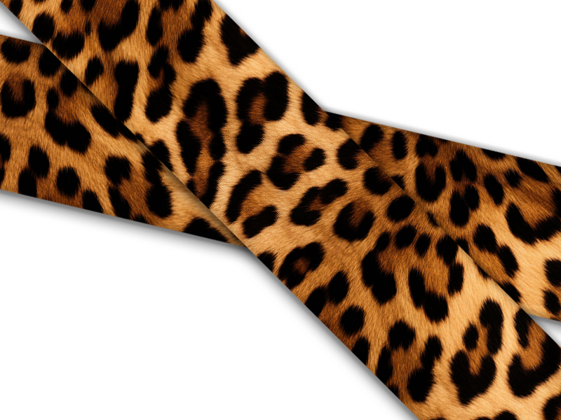 Animal Prints
