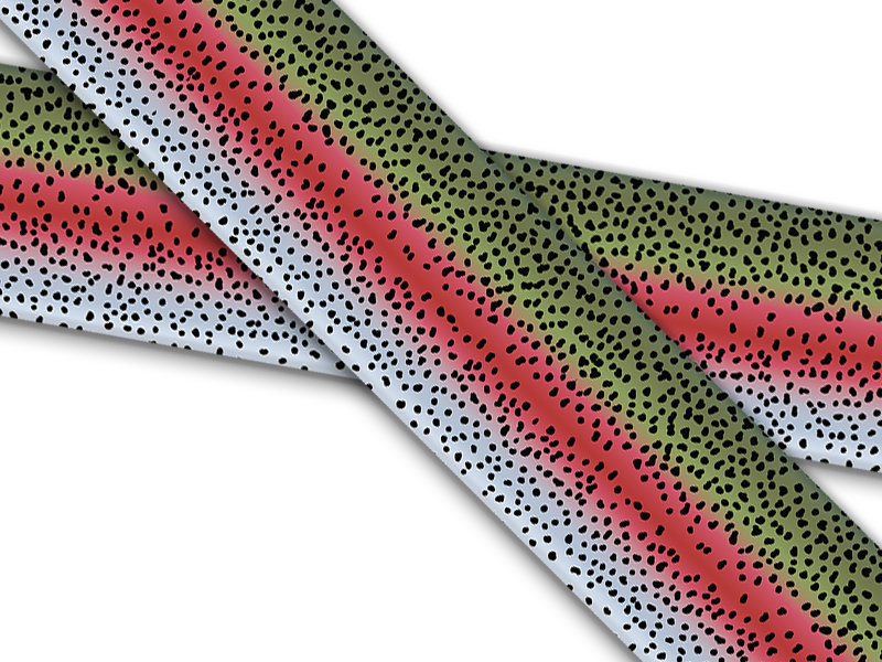 Skins, Scales & Frogs