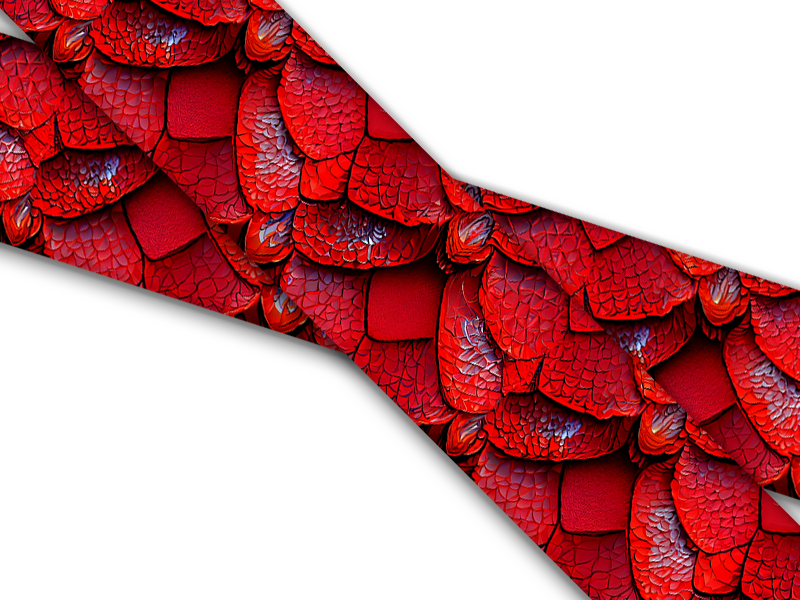 Skins, Scales & Frogs