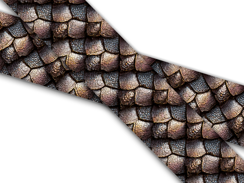 Skins, Scales & Frogs