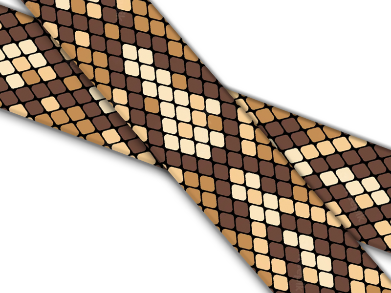 Skins, Scales & Frogs
