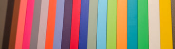 Leash Colors: Handles